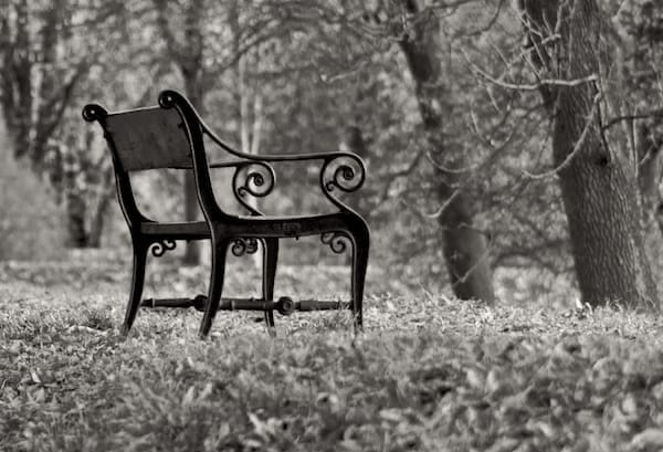 The Bench