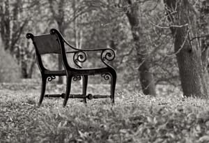 The Bench